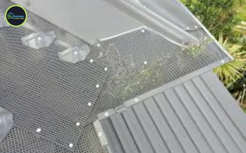 Best Gutter Guards in NZ: What Works in Auckland's Climate