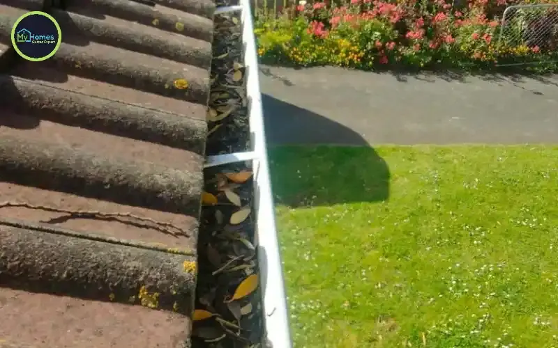 7 Signs Your Auckland Home Needs New Gutters (Don't Ignore These)